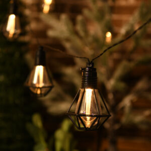 14 Bulb LED Chic Cage String Light JH52042