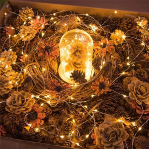 2AA Battery Operated Fairy Light Chain JH24092