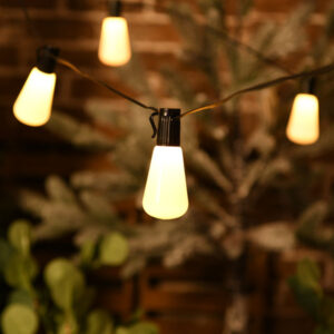 Outdoor 40 Bulb LED Light Chain JH52041