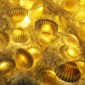 Decorative LED Copper Wire Seashells Light Chain