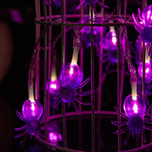 Halloween Decoration Spider LED String Light