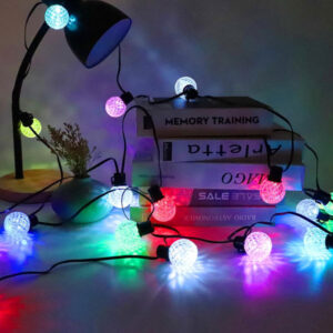 RGBIC LED With App Smart Globe Light String JH3130037-1